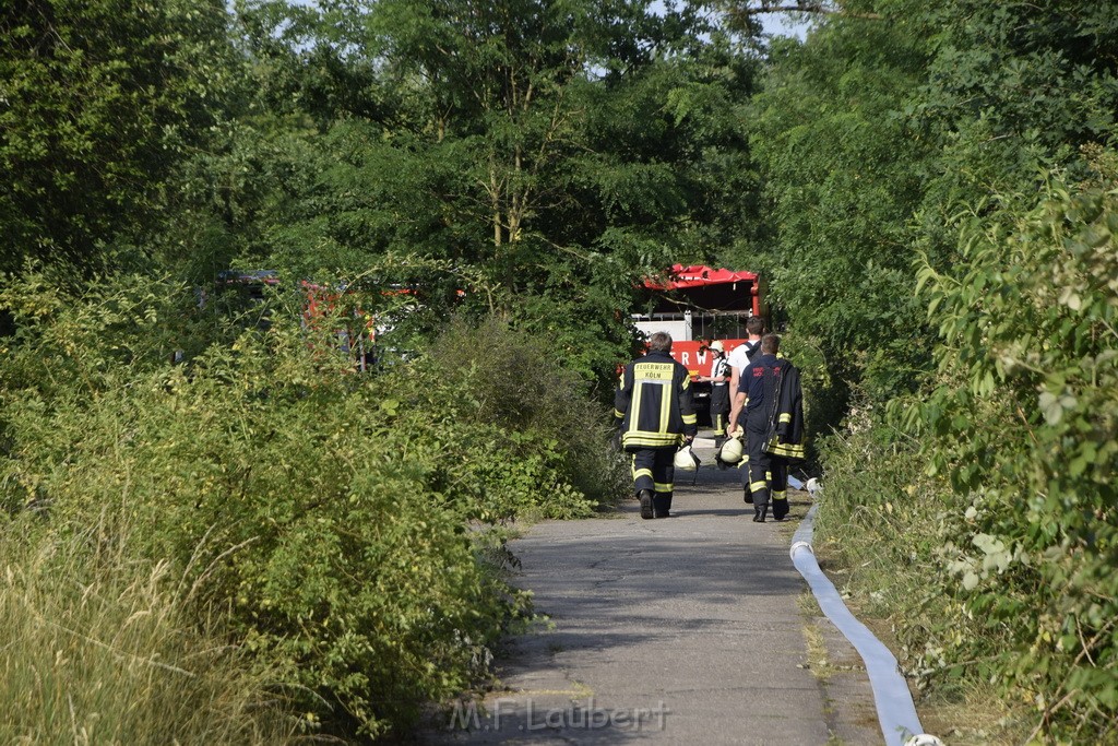 Waldbrand Koeln Hoehenhaus Hoehenfelder Mauspfad P032.JPG - Miklos Laubert